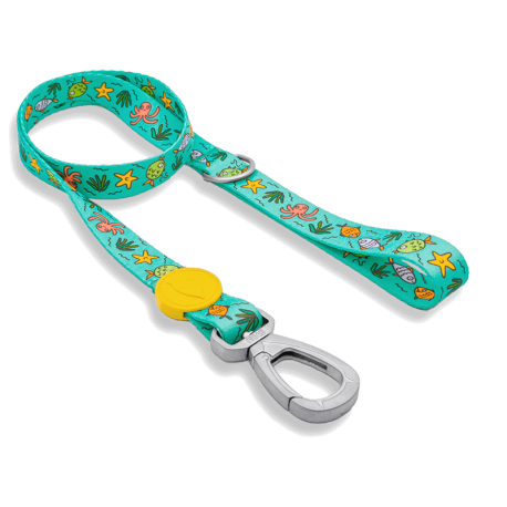 Guinzaglio Regular Ocean