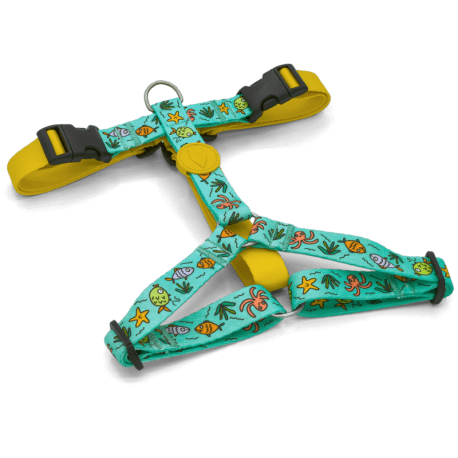 Pettorina H Ocean Trek