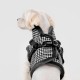 Chic Hound Harness V