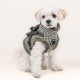 Chic Hound Harness V