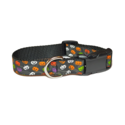 Collare Mini Pumpkins Collar