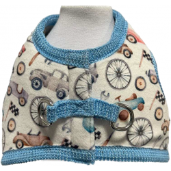 Pettorina Vintagerace