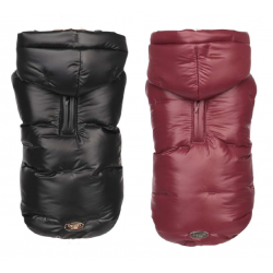 Jacket City Chic