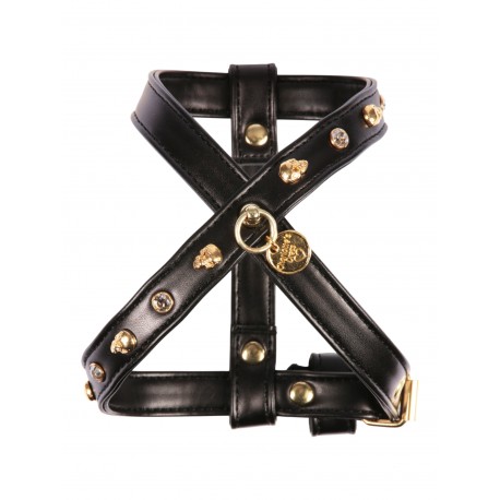 Pettorina Gunses Roses