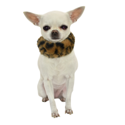 Panther Black Biothane Collar