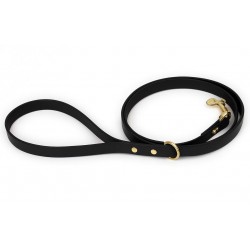 Black Biothane Lead Gold