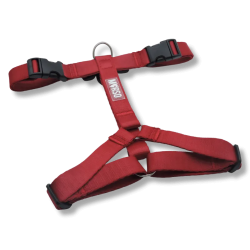 Pettorina H RUBY ADDICTION