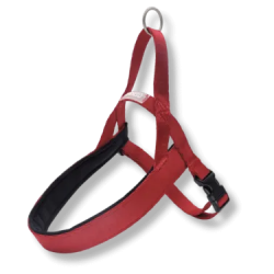 Pettorina norvegese RUBY ADDICTION