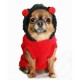 Lady Bug Chenille Hoodie 