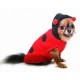 Lady Bug Chenille Hoodie 