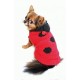 Lady Bug Chenille Hoodie 