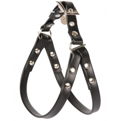 Pettorina Oplà Easy Up