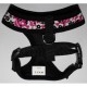Dogue Pettorina Skull Harness Pink