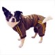Top Dog Jumper