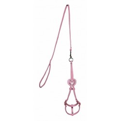 Pink Heart Step in Harness