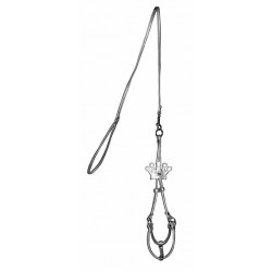 Silver Crown Step in Harness