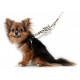 Linx Bone Silver Charm Step in Harness