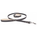 Banbury and Co. Luxury Dog Collar and Lead Set