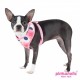 Peonies Harness