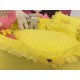 Yellow Grace Bed