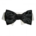 Bow Tie Collar Black Satin