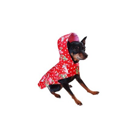 Scarlet Raincoat