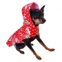 Scarlet Raincoat