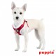 Blitzen Harness C