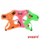 NEON SOFT HARNESS A