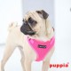 NEON SOFT HARNESS A