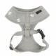 Pettorina Algo Harness A