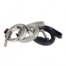 Guinzaglio Algo Lead