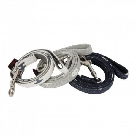 Guinzaglio Algo Lead