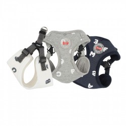 Pettorina Algo Harness C