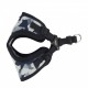 Pettorina Bobby Harness C