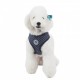 Pettorina Dotty Harness II A