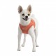 Pettorina Dotty Harness II B