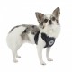 Pettorina Dotty Harness II C
