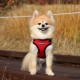 Pettorina Soft Harness C