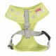 Pettorina Chic Harness