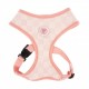 Pettorina Clement Harness