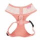 Pettorina Clement Harness