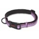 HALTI Walking Walking Collar Purple - Collare