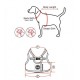 Pettorina CLASSY HARNESS B