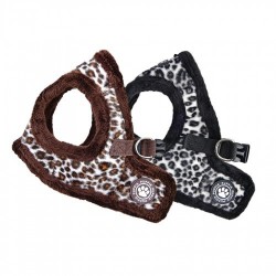 Pettorina LEONARD HARNESS B