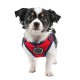 Pettorina MISCHIEF HARNESS C